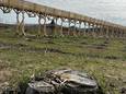 Le pont inutile construit avec l'argent de l’UE.