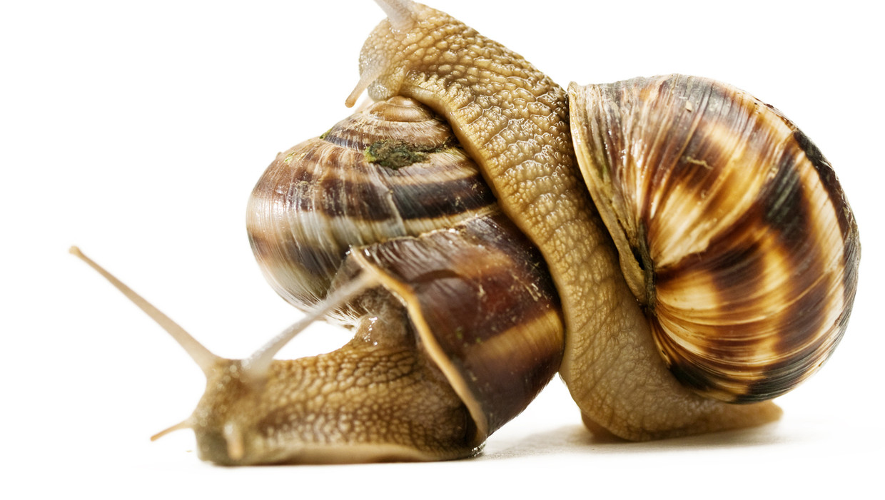 null Beeld thinkstock