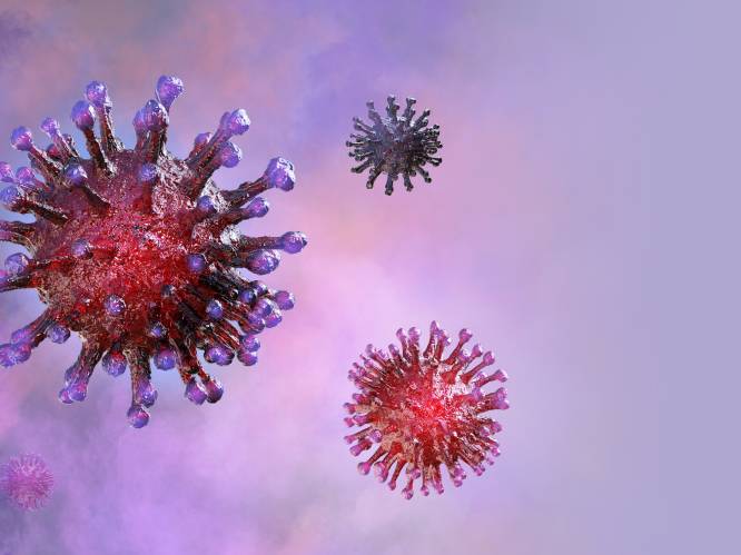 Studie ontdekt factor die mee zou bepalen waarom mannen vatbaarder zijn voor coronavirus