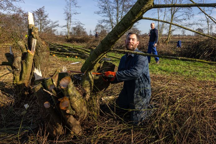 Zaterdag werd de houtwal aan de Meidoornweg in Sprang-Capelle gesnoeid door vrijwilligers.

Roel Meijs