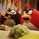 Angry Birds Peace Treaty