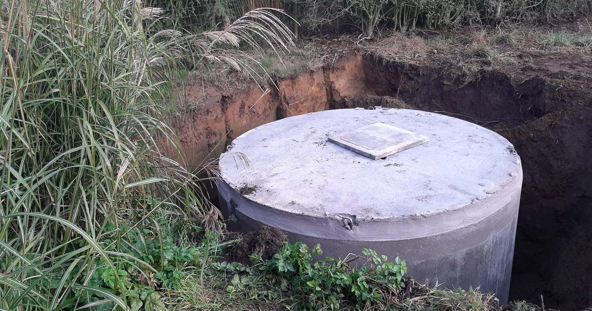 “Sono dalle 5 alle 12”: un consulente idrico spiega perché un serbatoio di acqua piovana è essenziale anche per te |  La mia guida