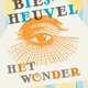 Lees hier ‘Het wonder’ van Maarten Biesheuvel (1939 - 2020), een van de mooiste korte verhalen ooit