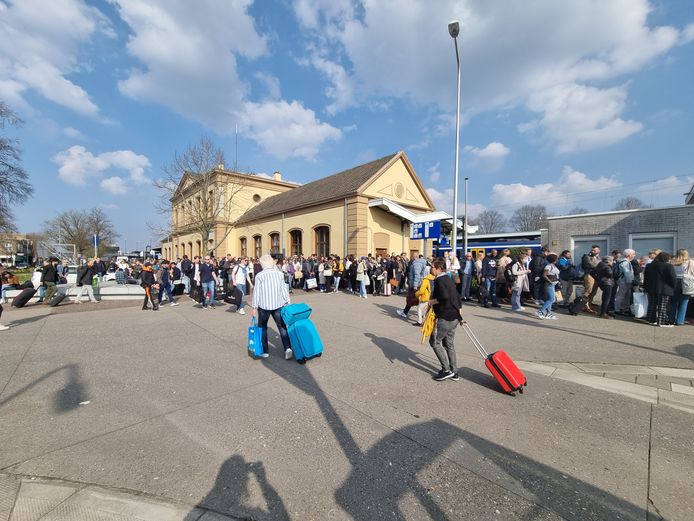 Gestrande treinreizigers vormen een lange rij voor station Meppel, waar de snelbus richting Zwolle vertrekt.