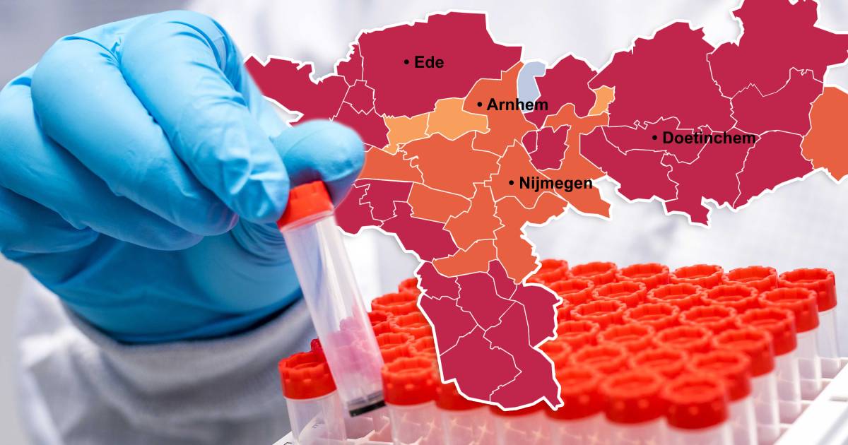 CORONAKAART | Bijna 60 inwoners van regio overlijden in ...