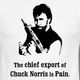 Chuck Norris Facts