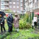 'Geef huurders zelf het beheer over binnentuinen'