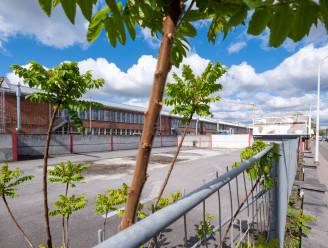 Arsenaalwijk krijgt nieuwe buurtparking dankzij samenwerking met NMBS