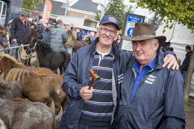 ‘Kamervragen over nostalgisch ponymarktje in Denekamp, het moet toch niet gekker worden?’