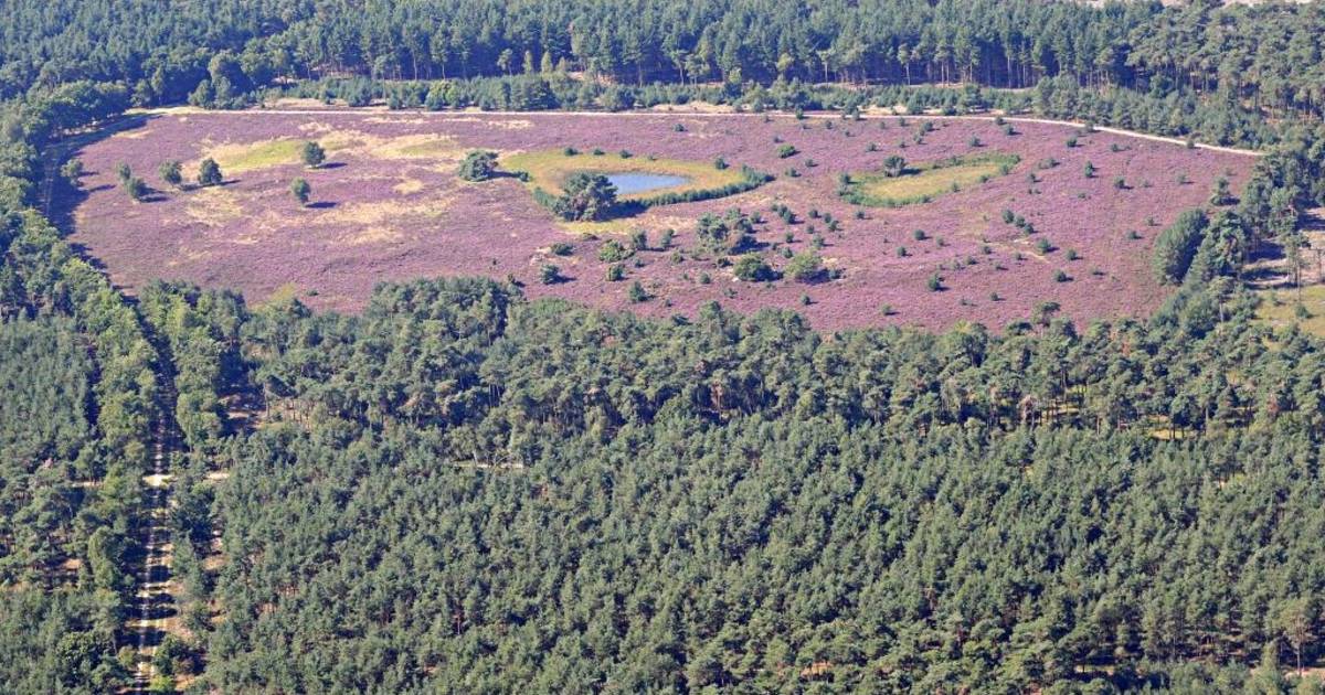 Strijperpad door Leenderbos weken afgesloten wegens verbreding