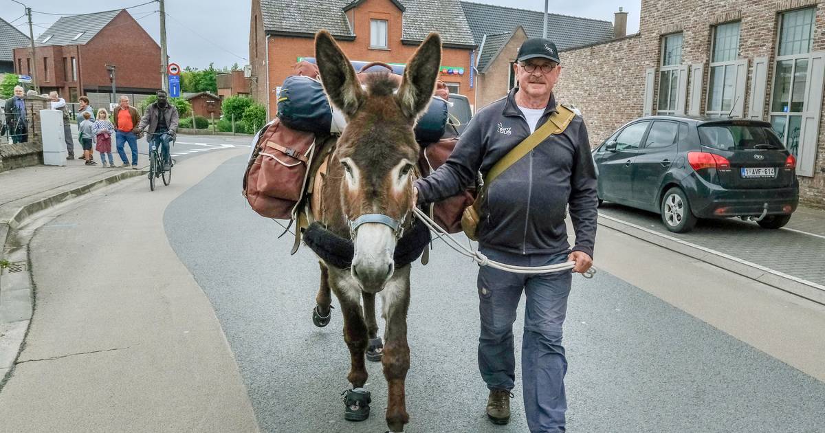 Met ezeltje Berry wandelen broers Piet en Paul naar Parijs: “Hij draagt ...