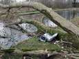 Dode in Mol, daken weggewaaid, veel schade door omgewaaide bomen: storm houdt lelijk huis