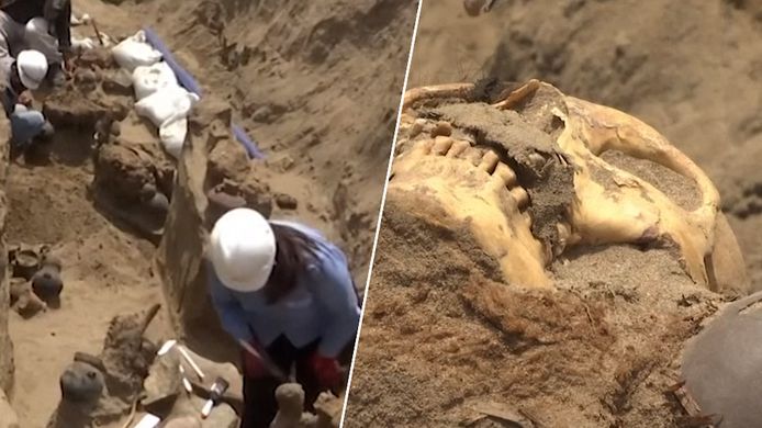 Archeologen leggen eeuwenoude schedels en botten van 11 mensen bloot.