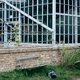 Ook de huizen in het ooit zo betaalbare Berlijn zijn onbetaalbaar geworden, creatievelingen verlaten nu de stad