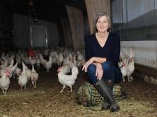 Pluimveehouders in kippenhoofdstad Barneveld houden hart vast om vogelgriep: ‘Nee, niet weer!’