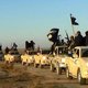 "IS-strijders opgeblazen door eigen bermbom"