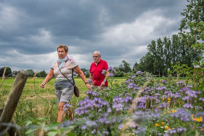 Denderklokjes presenteren 34ste Dender- en Scheldetocht | Lebbeke | hln.be