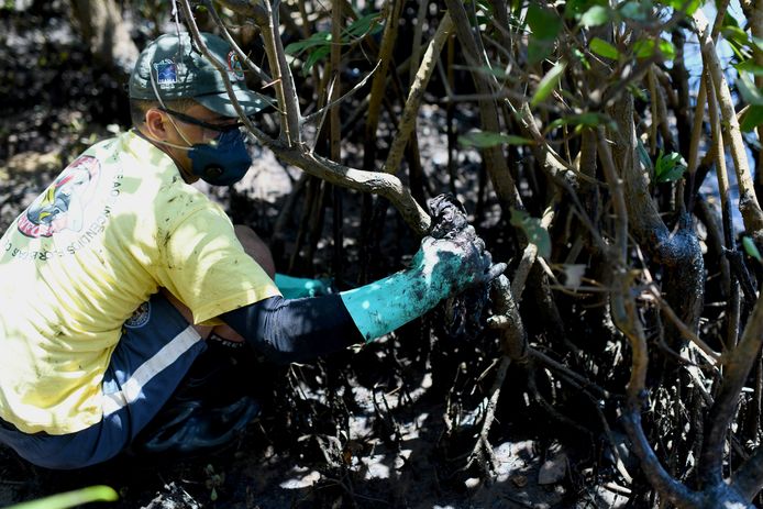 Een vrijwilliger probeert de olie te verwijderen bij een mangrove op het Imbassai strand in Mata de Sao Joao in de staat Bahia.