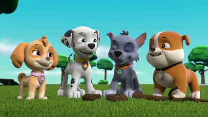 23. Pups redden de Goodways & Pups redden de Dierenwasmobiel