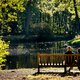 Opinie: Het wordt tijd dat we andere mensen, dieren, planten en stenen beschouwen als een heilige eenheid