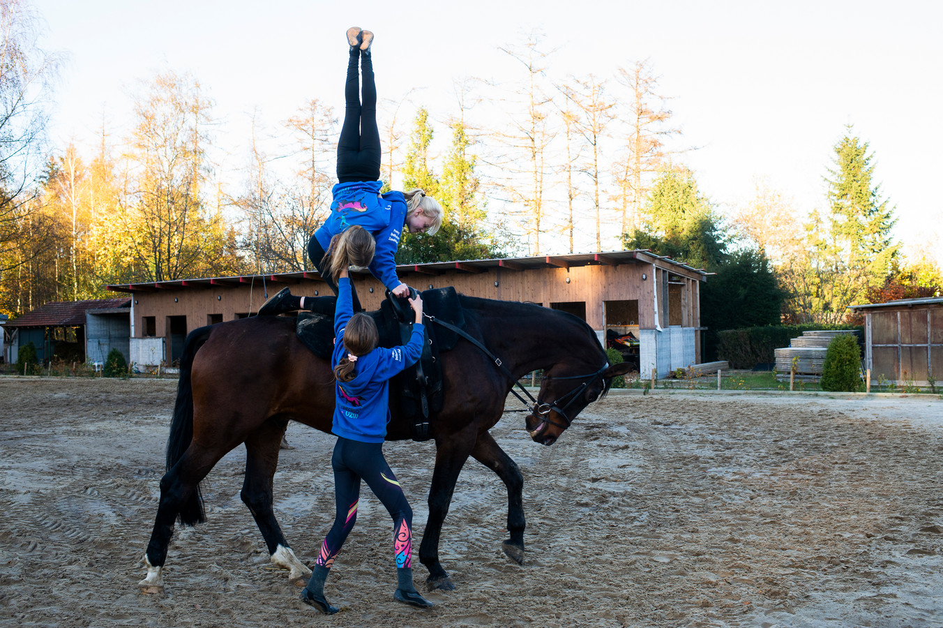 vertrouwen woensdag boerderij Turn eens op een rijdend paard: “Vooral evenwicht en kracht zijn bij  'voltige' belangrijk” | Foto | hln.be