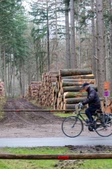 Zorgen om bomenkap in Wageningse bossen en QR-code om te zien wat er met het gekapte hout gebeurt
