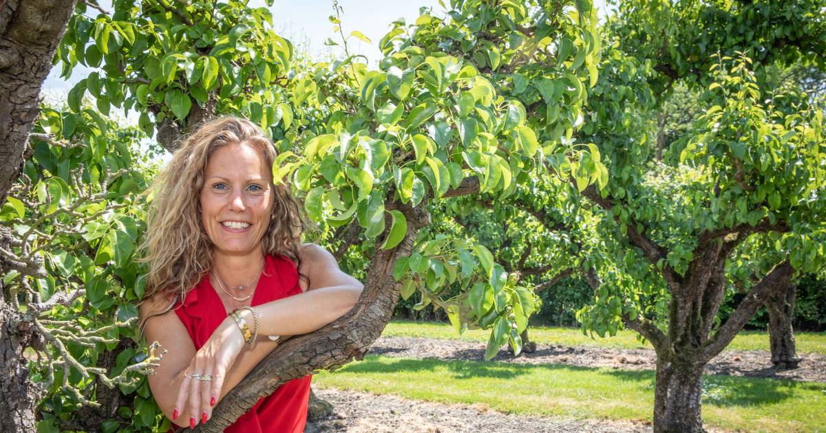 Miranda biedt haar stokoude fruitbomen ter adoptie aan: ‘Wat zou ik zelf met zóveel peren moeten doe