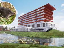 Waterspitsmuis zit bouw hotel Van der Valk langs de N11 in de weg