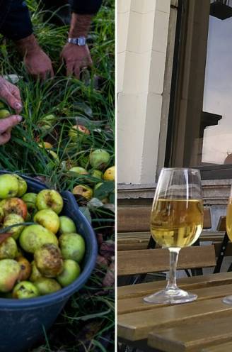 De revival van de cider: dit is waarom een glas appelwijn de ideale zomerdrank is én hier drink je er eentje in eigen land