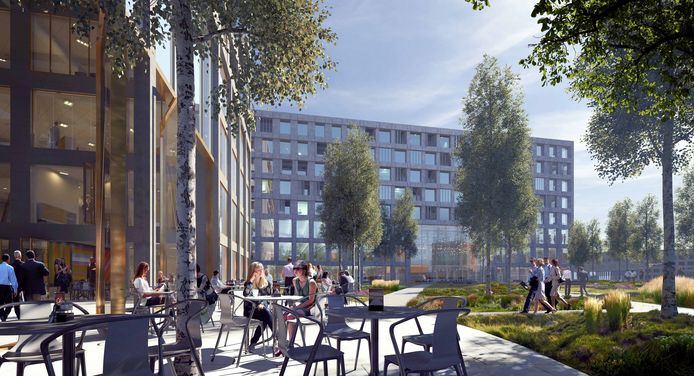 Een schets van het park dat de gebouwen van het project 5TRACKS straks met elkaar moet gaan verbinden.