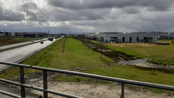In deze groenstrook langs de A17 wil TenneT straks de masten voor de 380 kV-verbinding bij Roosendaal plaatsen.