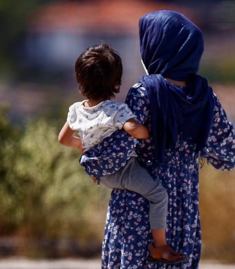 Deux enfants afghans rapatriés en Pologne intoxiqués aux champignons nécessitent une greffe de foie