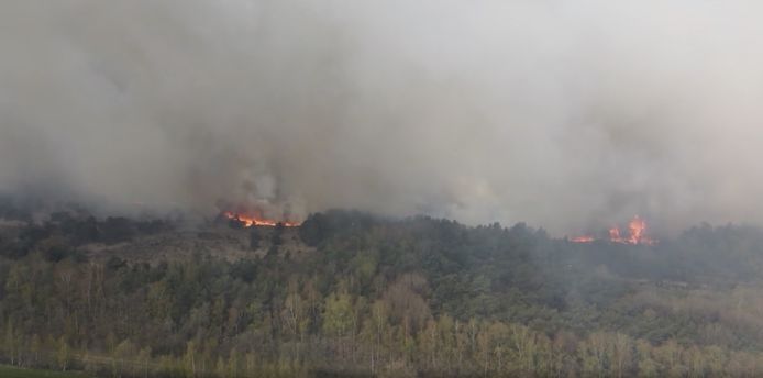 Brand op het Groot schietveld in Brecht nadat leger schietoefeningen hield.