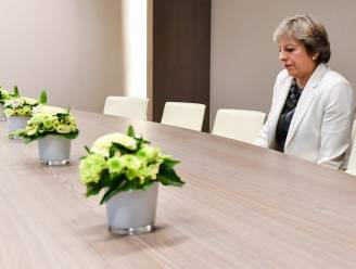 'Eenzame' Theresa May en haar bloempotten mikpunt van spot