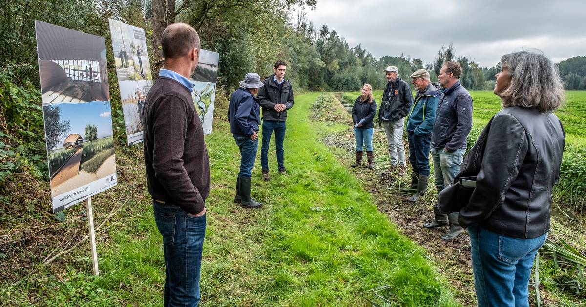 Ruimte voor rietmoeras in de Ooijse Graaf, maar eerst 6 jaar ontzanden