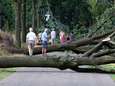 Opruimen schade windhoos in Roosendaal en Rucphen gaat weken duren