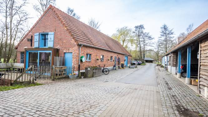 RESTOTIP. De Luysmolen: “Mijn eigen taart in mijn eigen zaakje, dat zag ik wel zitten”