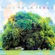 Yo La Tengo - 'Fade' **()