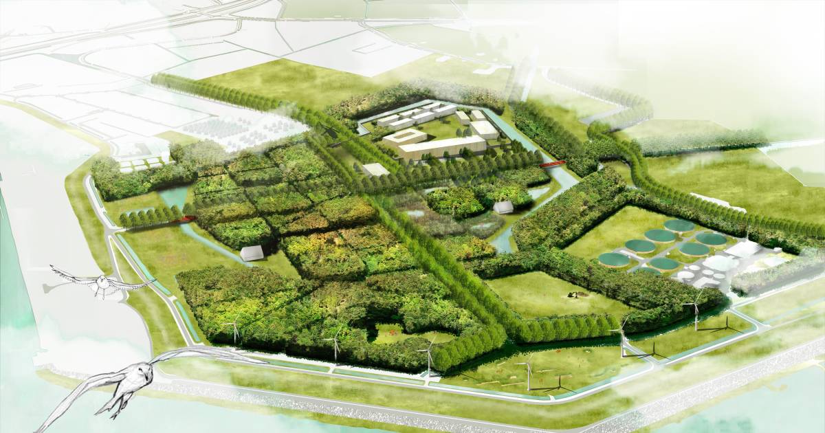 Waarom de bouw van de gevangenis bij Ritthem zo ingewikkeld is: 'Je wil niet dat iemand de plattegro