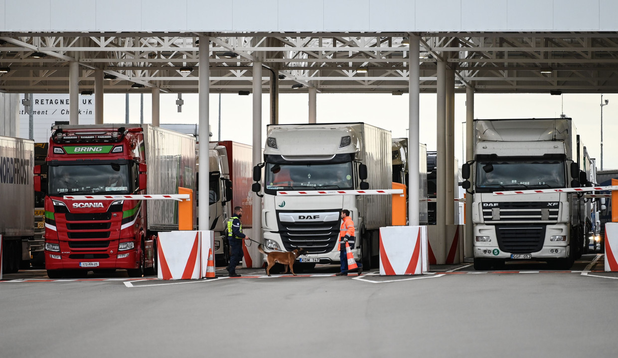 Een medewerker van Eurotunnel controleert met zijn hond vrachtwagens op weg naar het Verenigd Koninkrijk.