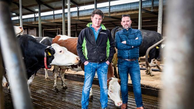 Boze Alphense boeren willen Schiphol blokkeren: ‘Geen scrupules, wij worden óók genaaid’