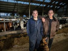 Nooit kregen Nederlandse melkboeren zoveel geld voor liter melk, bioboeren hebben nakijken