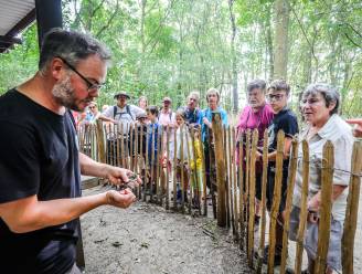 Extra activiteiten tijdens paasvakantie in Zwin Natuur Park