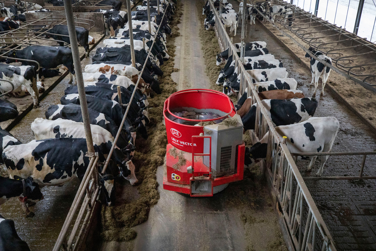  Een voederrobot van Lely.  Beeld Werry Crone