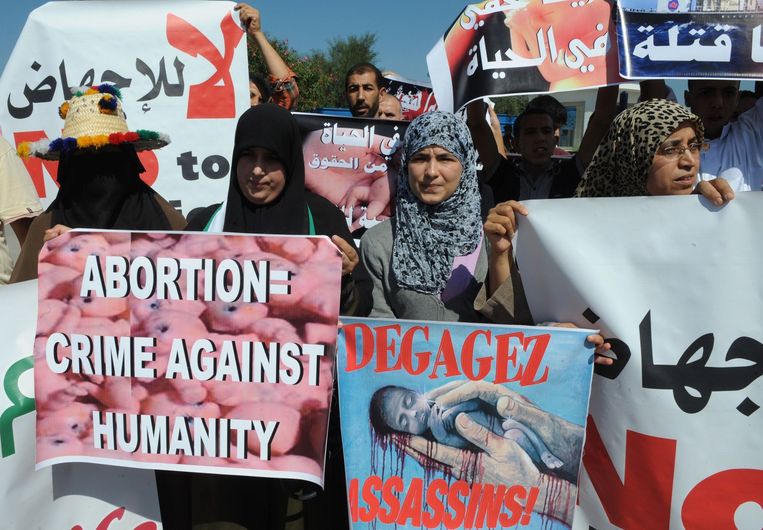 Demonstranten tegen de abortusboot Beeld afp