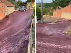 Un torrent de vin rouge au Portugal