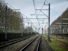 EditieNL biedt excuses aan voor foutief gebruik foto uit Auschwitz: ‘Had nooit mogen gebeuren’