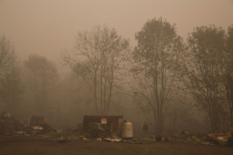 De ravage is immens in Oregon. Beeld AFP
