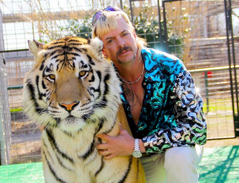 Joseph ‘Joe Exotic’ Schreibvogel met een van zijn tijgers. Beeld AFP