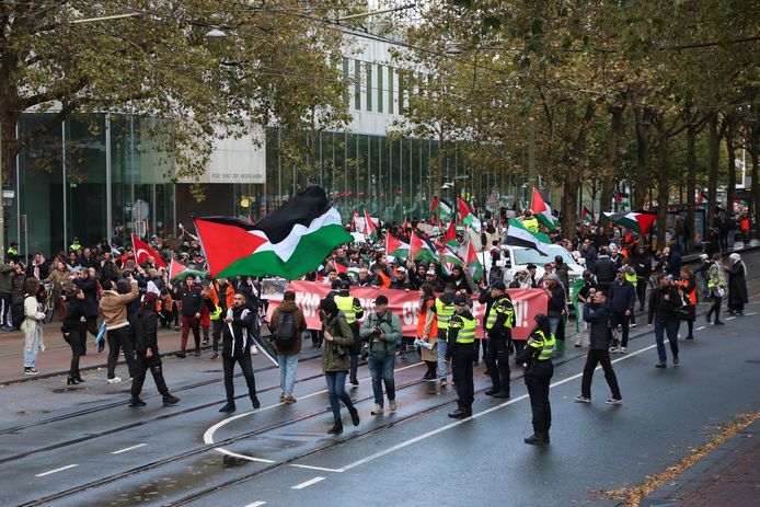 Duizenden demonstranten lopen door Den Haag voor het pro-Palestina-protest.